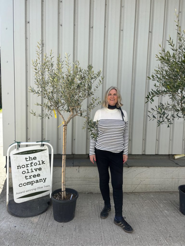 Screening trees