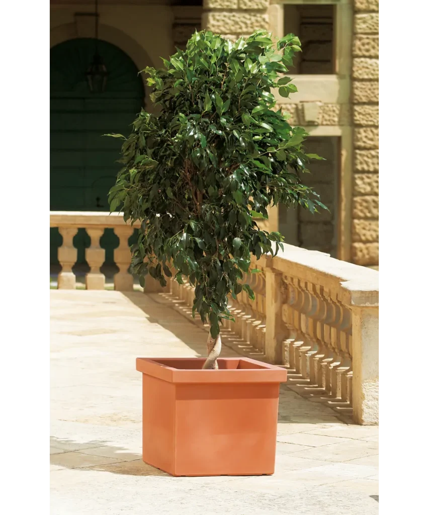 extra large plant pots UK