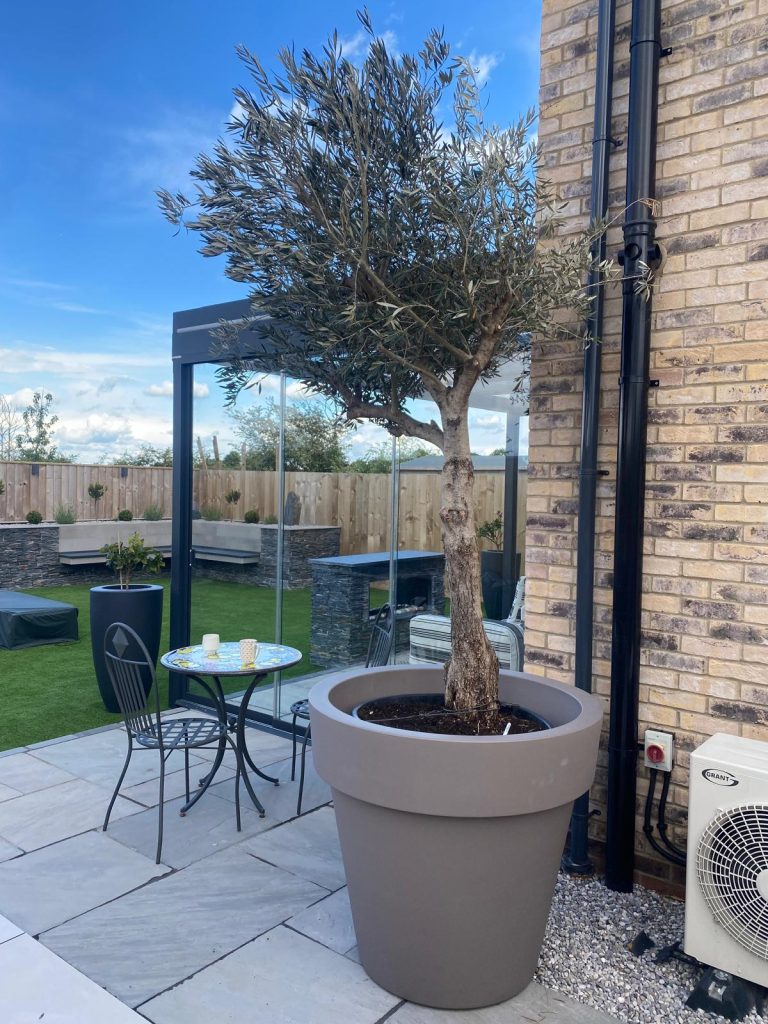 Mediterranean courtyard garden