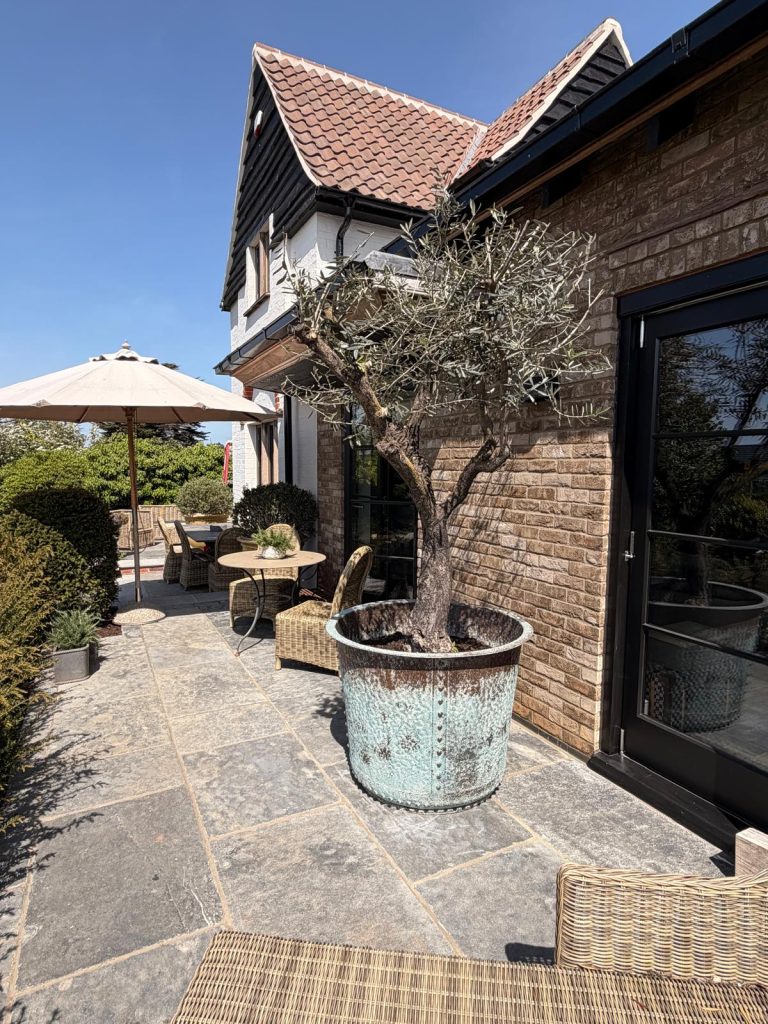 Mediterranean courtyard garden