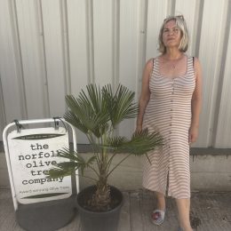 Hardy Trachycarpus wagnerianus palm tree for UK gardens. Wind-resistant, ideal for coastal & exposed sites. Free mainland UK delivery.