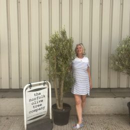 London Olive tree delivery included