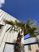 IMG_1755