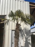 IMG_1756