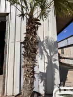 IMG_1759