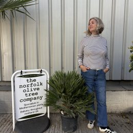Chamaerops humilis ‘Compacta’ – Hardy Mediterranean Fan Palm UK | Free Mainland Delivery