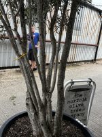 IMG_1718