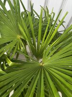 IMG_1870