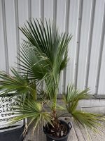 IMG_1875