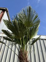 IMG_2998