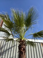 IMG_3016