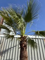 IMG_3017