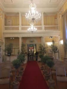 Olive Tree Hire