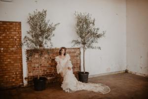 wedding suppliers, tree hire, trees in pots, olive trees for sale