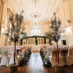 Olive Tree Wedding Hire